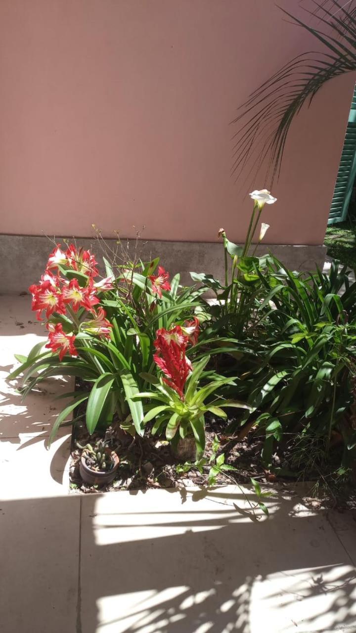 Brook La Legua Holiday home