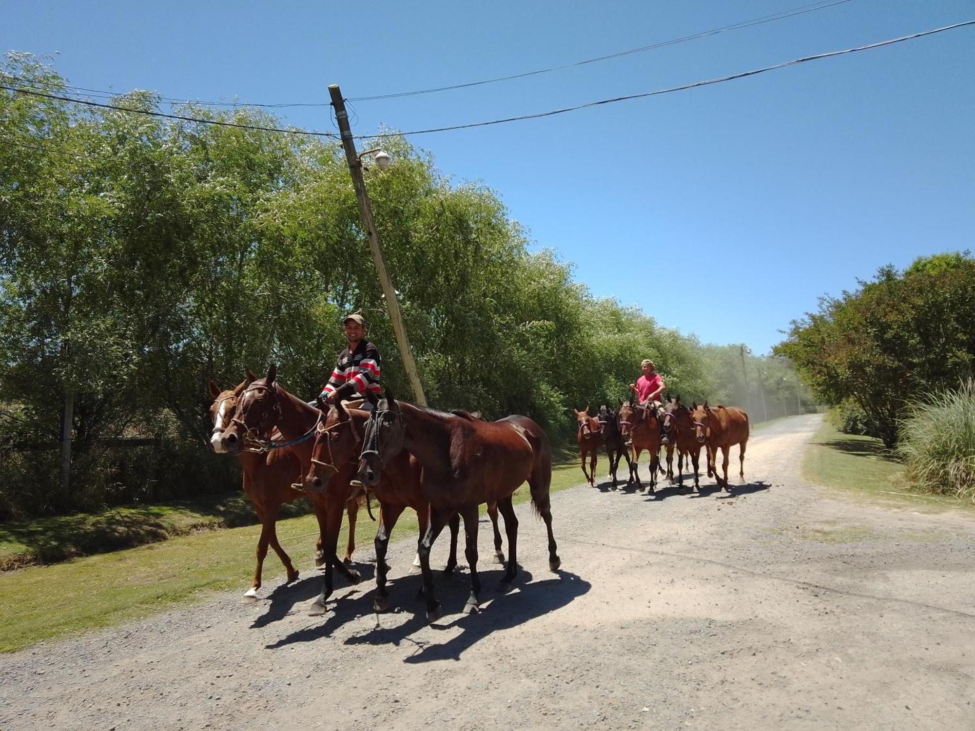 Brook La Legua * Pilar (Buenos Aires)