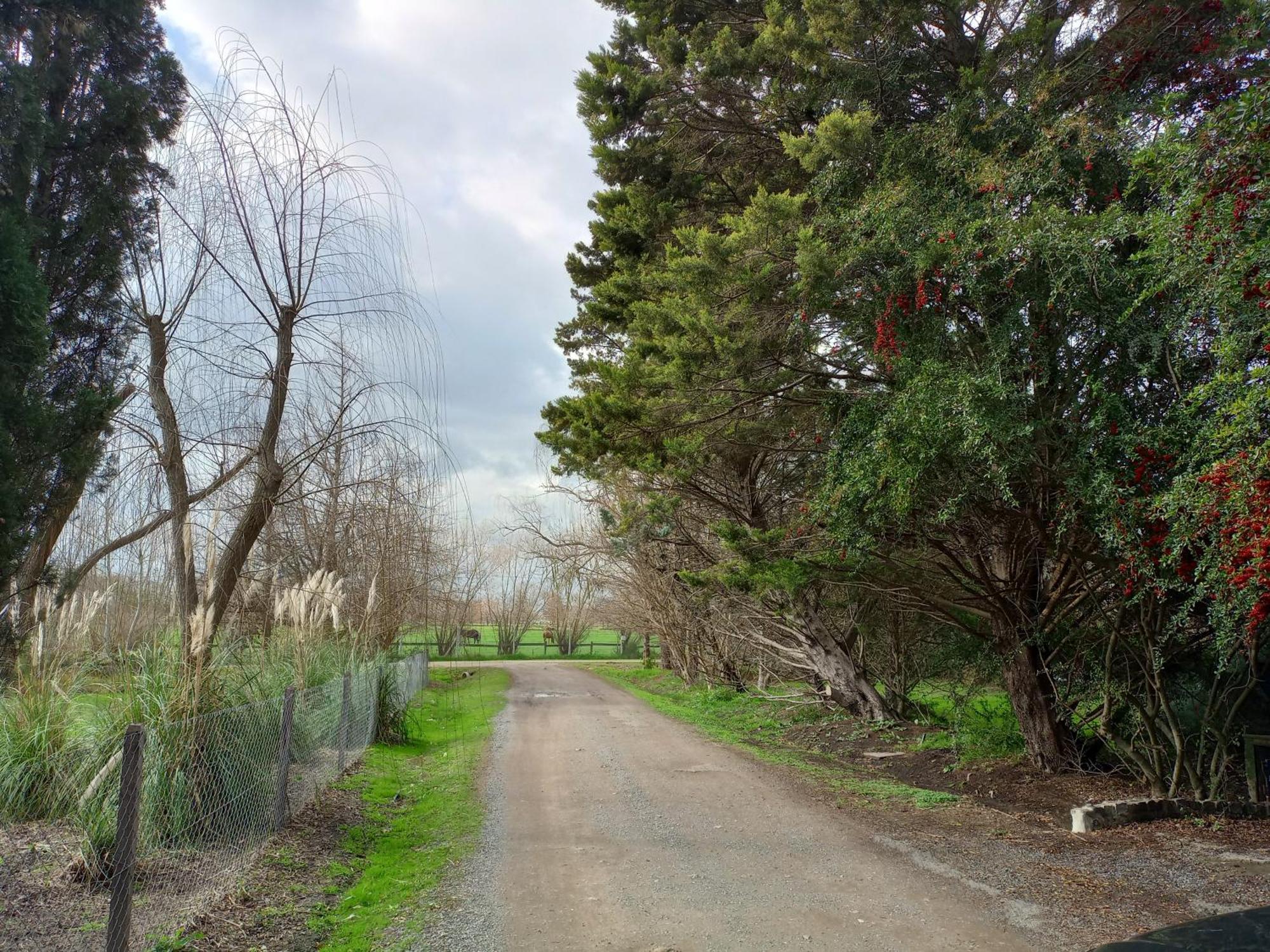 Brook La Legua Pilar (Buenos Aires)